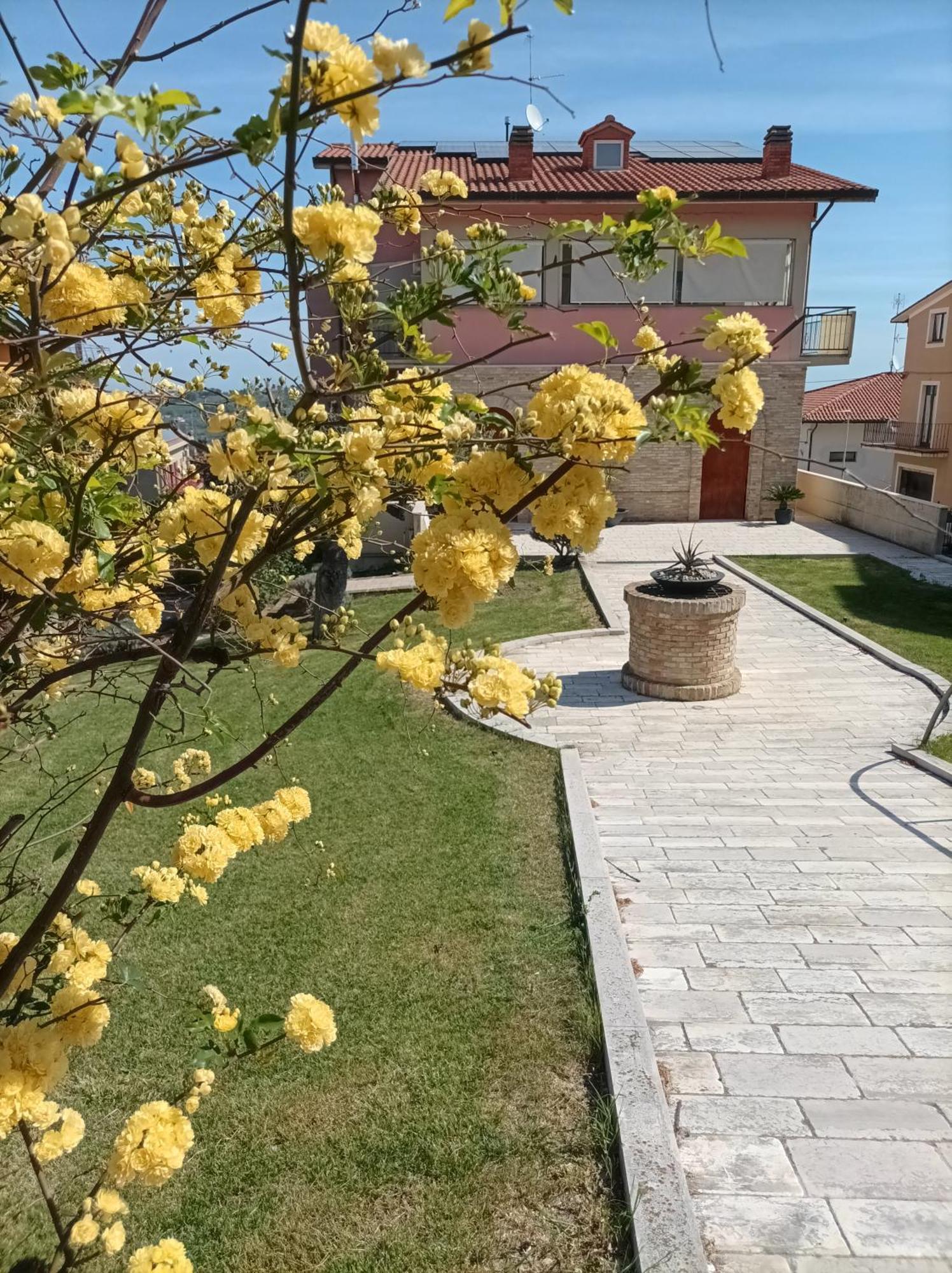 Villa Istonia Cupello Exterior photo